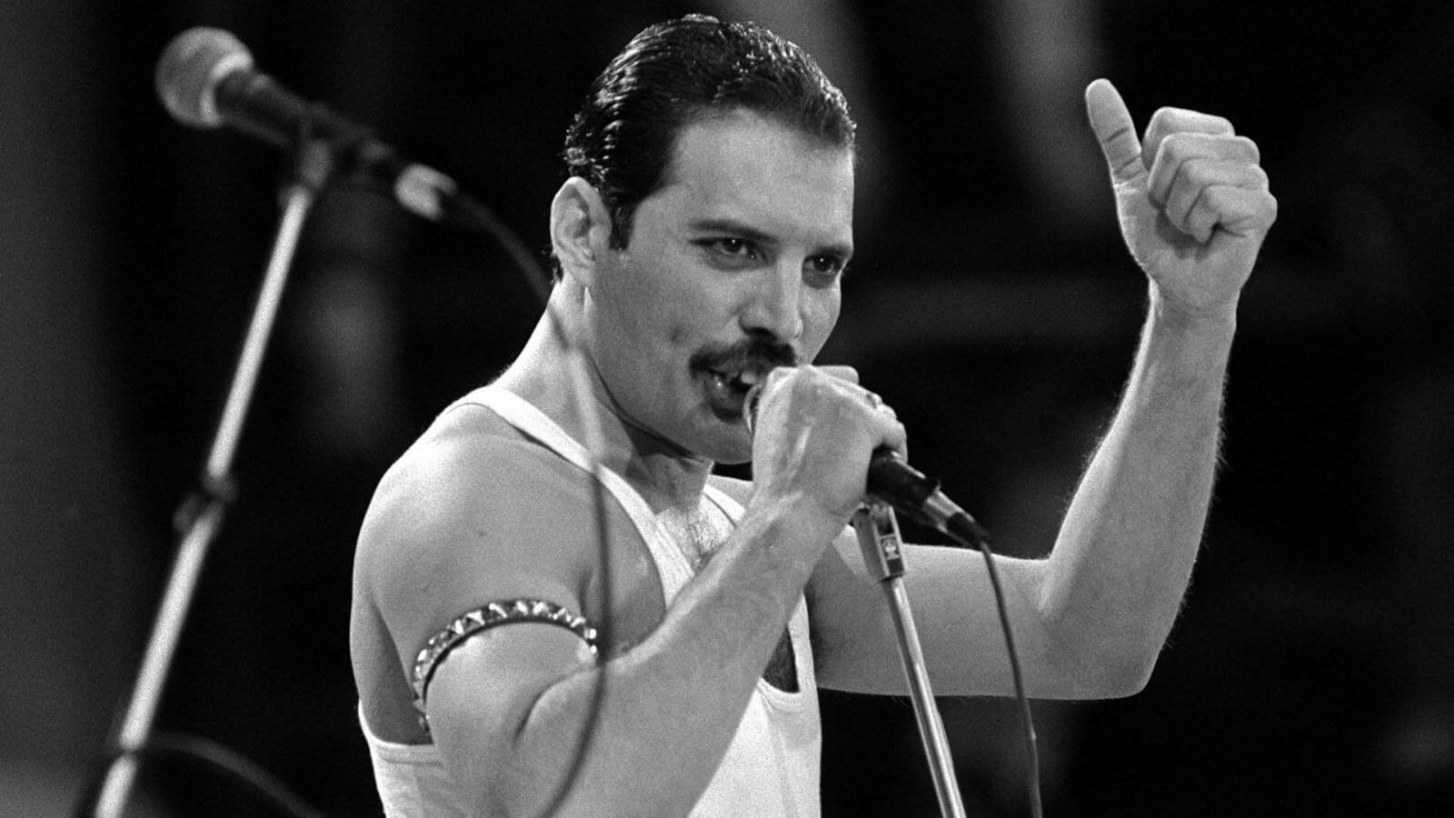 Freddie Mercury - Le Biografie